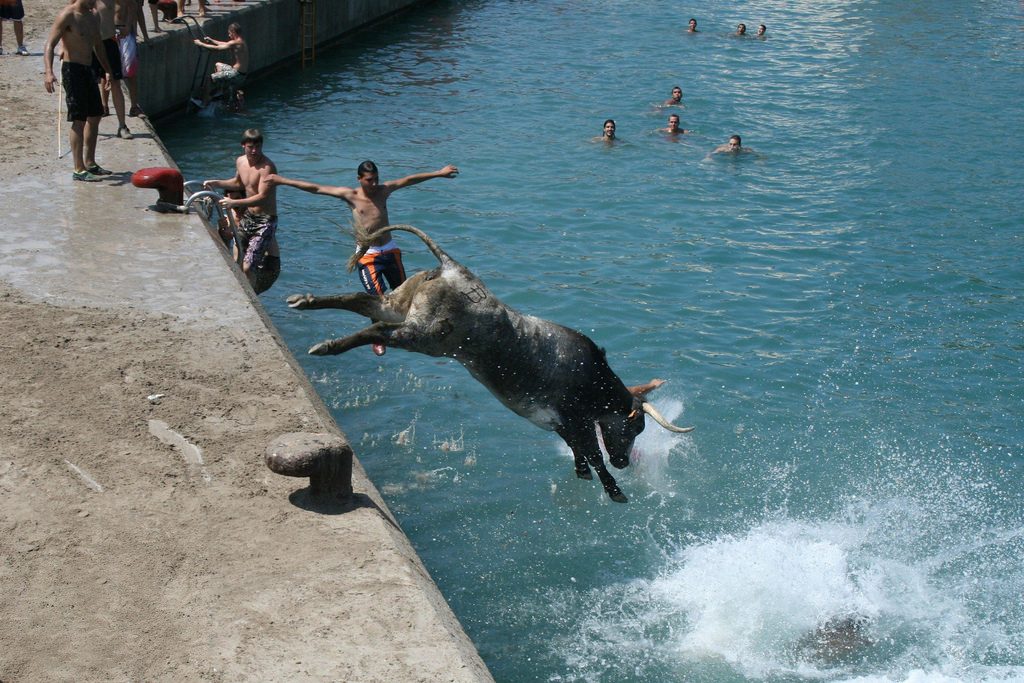 La festividad de 'Bous a la mar' --toros a la mar-- en Xàbia (Alicante) en una imagen de 2008.