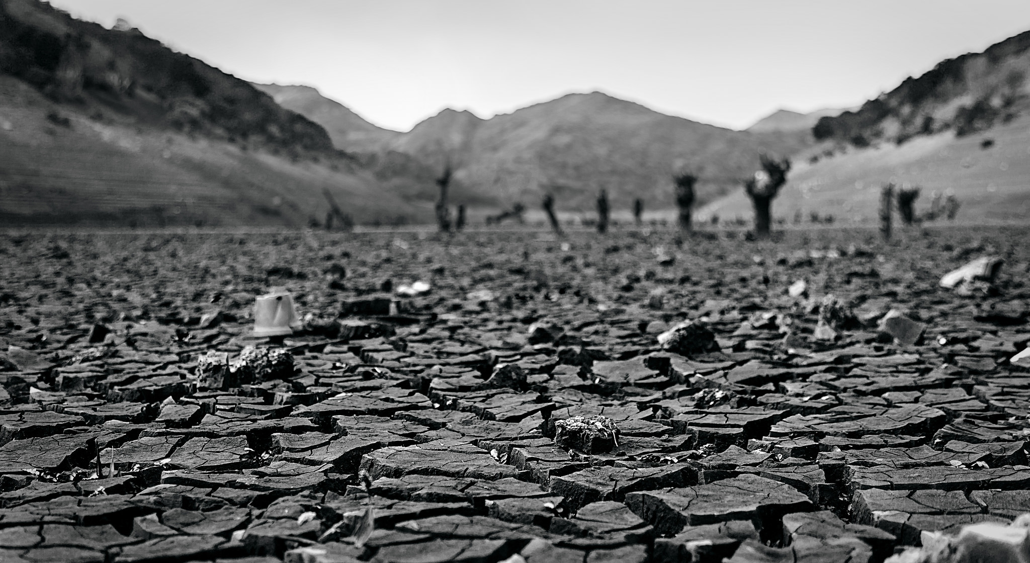 Sequía En España Camino A La Peor Que Hayamos Conocido En Vida